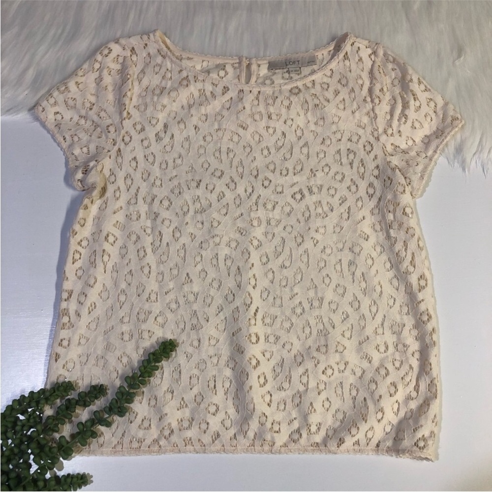 LOFT Cream Lace Shirt | Size Petite Small